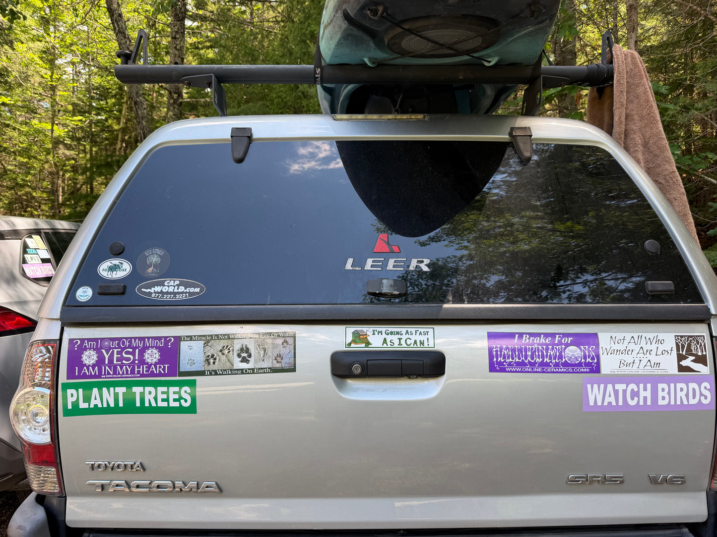 Watch Birds Bumper Sticker