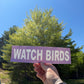 Watch Birds Bumper Sticker