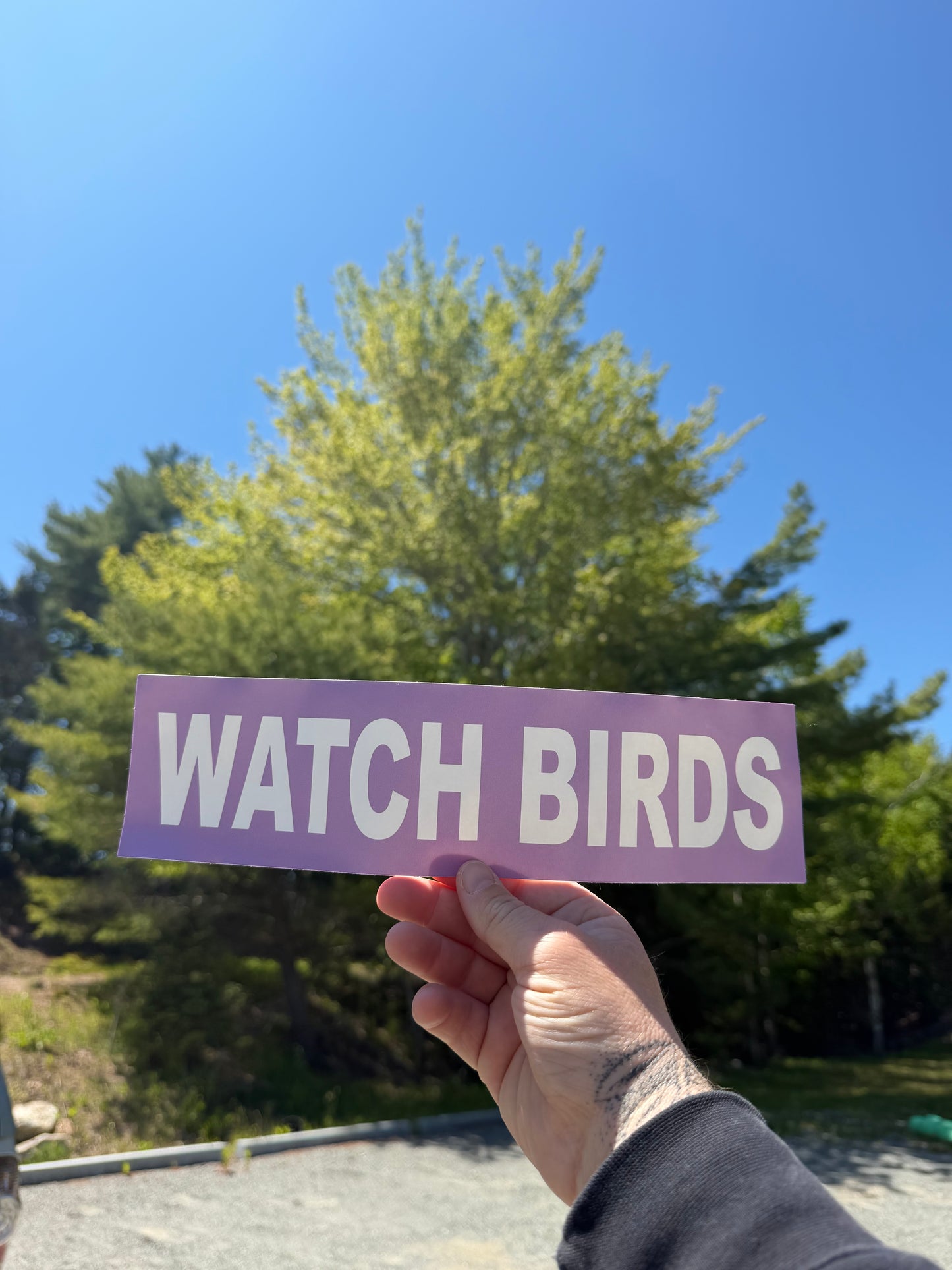 Watch Birds Bumper Sticker