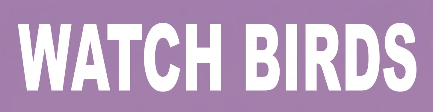 Watch Birds Bumper Sticker